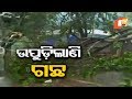 Cyclone Fani Batters Bhubaneswar