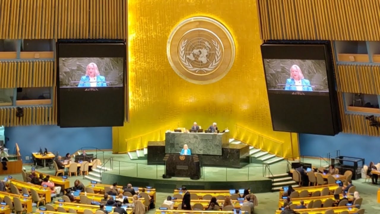 Shaping a people-centred, library-powered internet | IFLA at WSIS+20