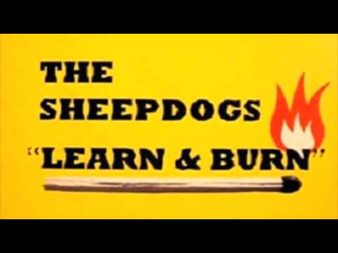 The Sheepdogs - Southern Dreaming