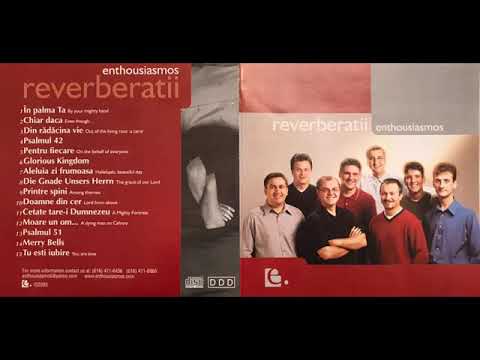 Enthousiasmos - Reverberatii
