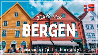 【ベルゲン】ノルウェーの美しい大自然を堪能する2日間🇳🇴🌿🚢|フィヨルドクルーズ、ブリッゲン地区、フィッシュマーケットetc|Travel Vlog