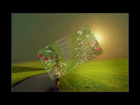 A Arte Imita A Vida - Pierre Braga