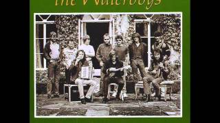 THE WATERBOYS - Fisherman &#39;s Blues