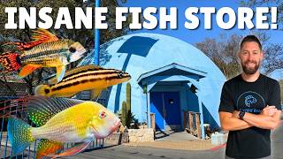 You’ve Never Seen a Fish Store Like THIS! (Austin Aqua Dome Tour)