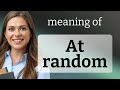 At random | what is AT RANDOM meaning