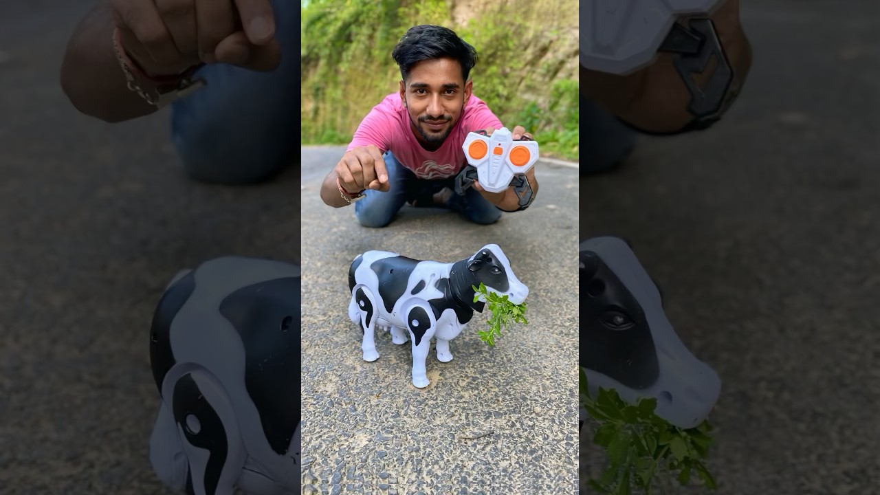 Naya akta RC Cow Toy Unboxing