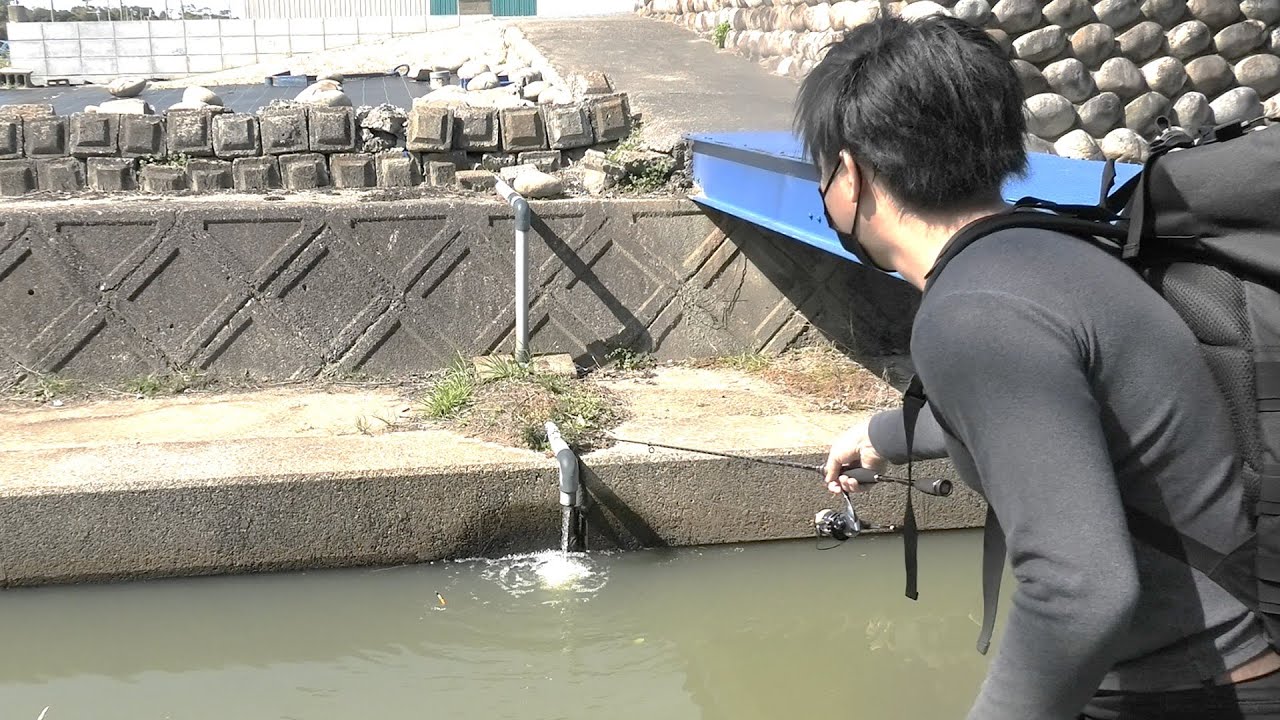 外来種だらけの川で釣りしたらヤバかったｗｗｗ