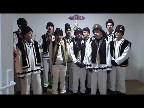 Dubasii de la Lipova