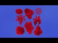 James Curd - Feeling Mumbled