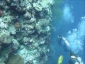 Picture taken during the dive