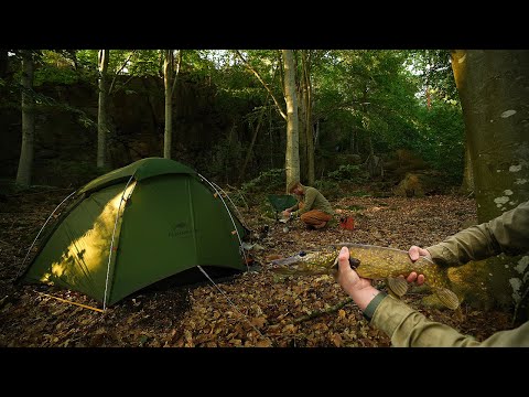 Solo Camping by the Lake | Fishing and Cooking in Sweden