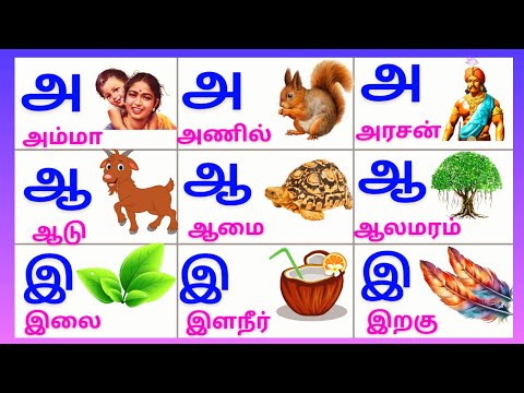 அஆஇஈ உயிர் எழுத்துக்கள்/Uyireluthukkal/Tamil Alphabets/Aaaaeiee @PEEKABOO-ff8wq