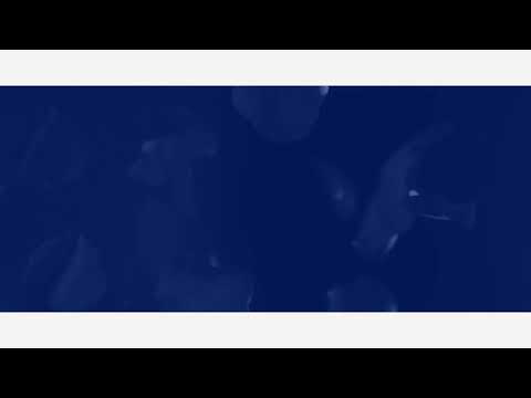 Moisés No Duerme - 11 Confeti por el suelo [AZUL]