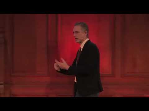 Jordan Peterson Rule 12 Pet a cat when you encounter one on the street