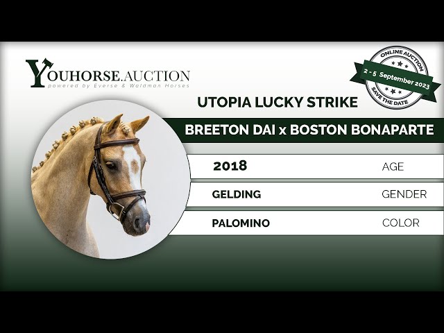 Utopia Lucky Strike @ Home & Show