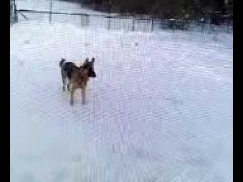 TEHYA & PARIS DEC 2013