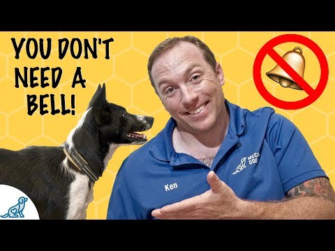 How To Teach Your Dog To Ask To Go Outside - Puppy Potty Training - Professional Dog Training Tips