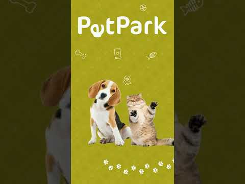 Motion Design — 29