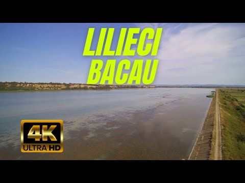 Hemeiusi Bacau Hemeiuș Lilieci 4k Drona Drohne Romania Barcul Dentrolgic 2016 Aerial Footage