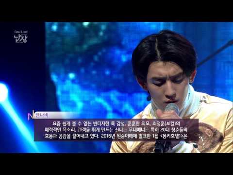 문화콘서트 난장 NANJANG ; 잔나비 jannabi ; good night