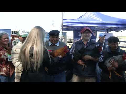 1° FERIA GANADERA PAIPPERA EN MISIÓN LAISHÍ