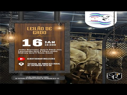 LEILÃO ALBERTO e MARTINS 16/01/20256 AS 18:00 hs em Cachoeira Alta Go.