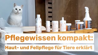 Pflegewissen kompakt: Haut- und Fellpflege für Tiere erklärt