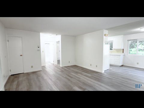 3667 Dimond - Adalie - Video 2 of 2