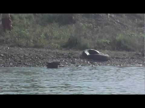 Nebunatici din Heci [2]