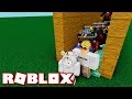 Roblox Fashion Show For $1,000