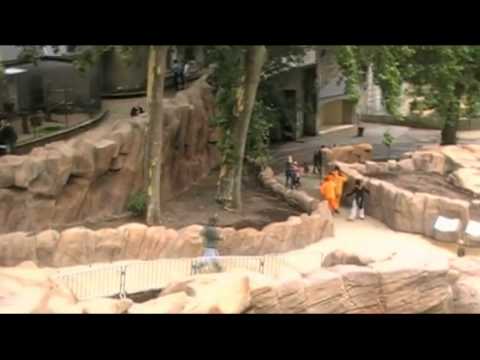 Chiro jongens Westmeerbeek Kamp 2011 ONTSNAPPING VIDEO