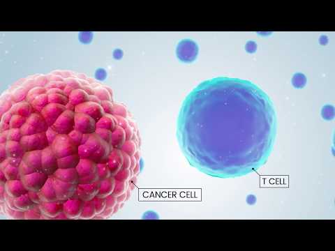 download lagu mp3 mp4 Immuno Qr, download lagu Immuno Qr gratis, unduh video klip Immuno Qr