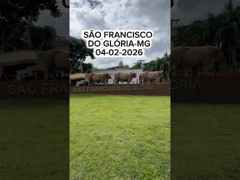 O CANDEEIRO ‘ SÃO FRANCISCO DO GLÓRIA-MG #minasgerais #sãofranciscodoglória #br116 #riobahia