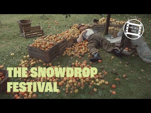 Some like it Czech: THE SNOWDROP FESTIVAL (Jiří Menzel, 1983)