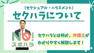 スポーツ現場におけるハラスメント防止動画