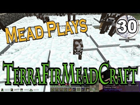 TerraFirMeadCraft - Sammitchin' - Ep 30