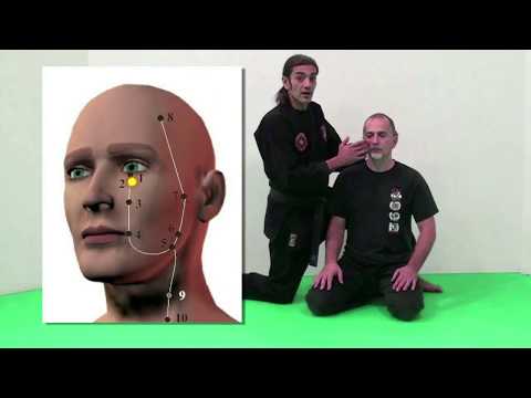 Kyusho Vitality... 5 Pressure Points for Self Defense and Health