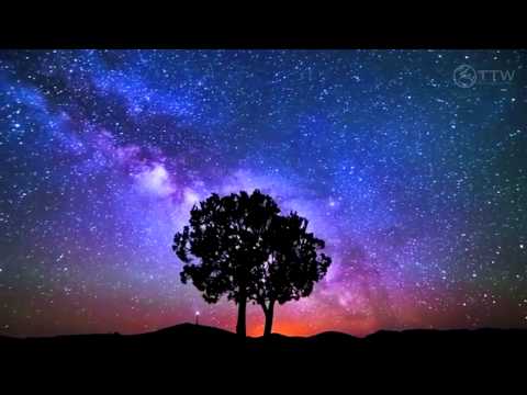 Arctic Moon - Starships Over Alice (Original Mix) [Music Video] [FSOE]