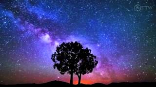 Arctic Moon - Starships Over Alice (Original Mix) [Music Video] [FSOE]