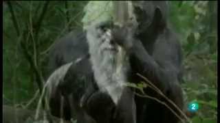 Documentos Express; Los Caminos del Conocimiento  (El Investigador y El Método Científico)