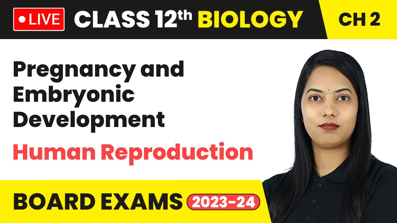 Pregnancy and Embryonic Development - Human Reproduction | Class 12 Biology Chapter 2 | Live