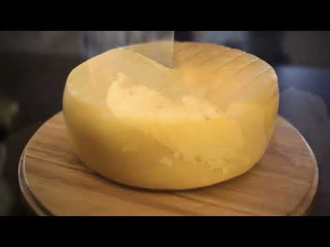 NĂZDRĂVĂNIILE CAȘCAVALULUI TIMIAN