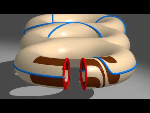 Twist de Dehn sur un surface de genre 3