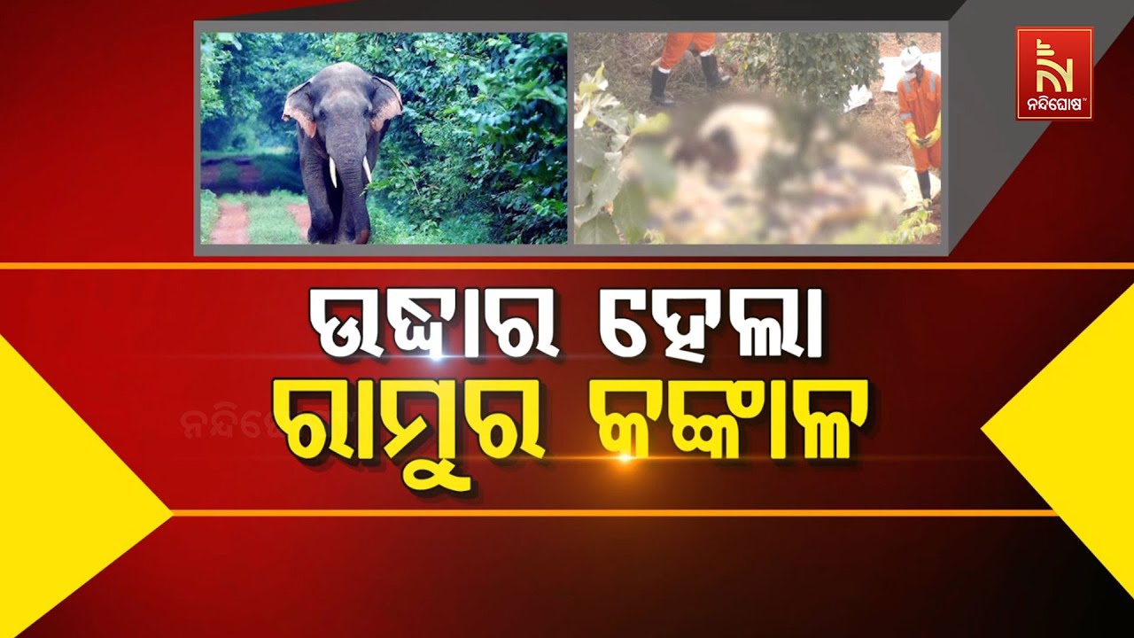 🔴 Live | ଉଦ୍ଧାର ହେଲା ରାମୁର କଙ୍କାଳ