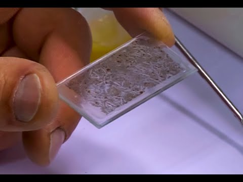 La fabrication des lames minces de roches - extrait