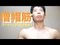 【筋トレ】僧帽筋を鍛えるコツを一挙解説!  シュラッグだけじゃ足りないぞ!
