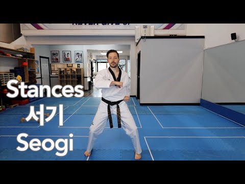Taekwondo Fundamentals: Various Stances