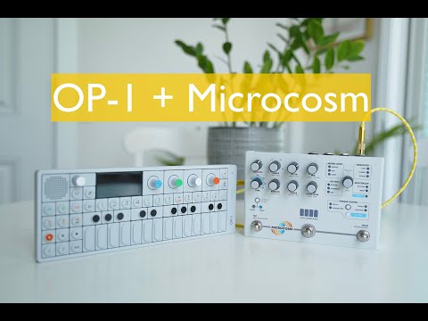 Hologram Microcosm & OP-1 Demo // an INSANE granular looper pedal for synths