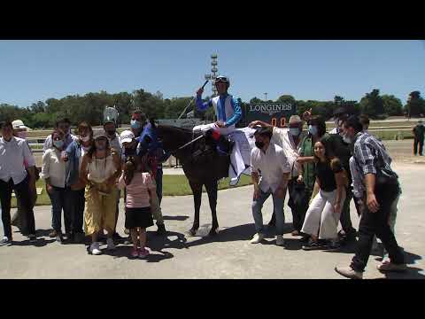 220106 c01 STUNNING CARTEL FJM