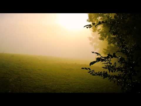 4Mal Feat. Ani - Layered Feelings (J. Velarde Remix)